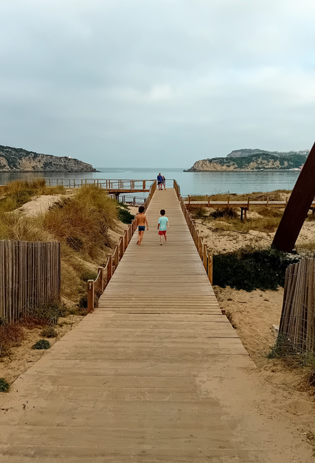 🌞 Ultimate Summer Camp Guide 2025 | Silver Coast Region