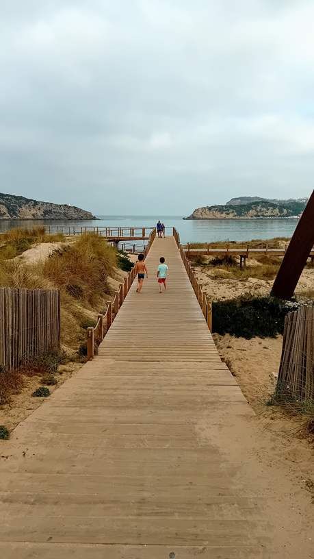 🌞 Ultimate Summer Camp Guide 2025 | Silver Coast Region